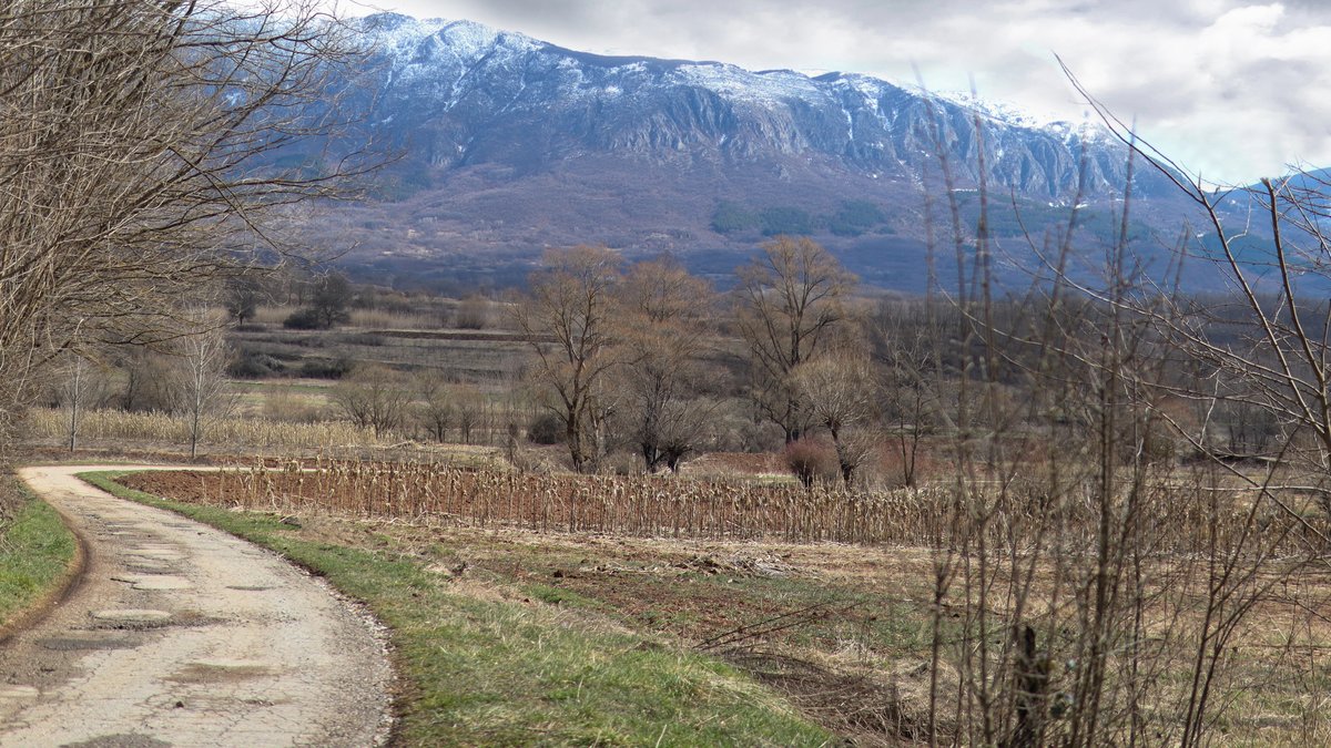 Bela Palanka: Od antičke Remezijane do savremenog zaplanjskog oboda