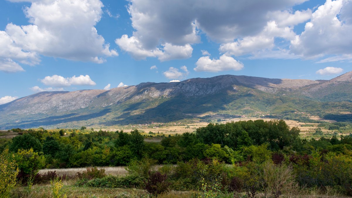 Divlji konji na visoravni Valozi: Simbol slobode Suve planine